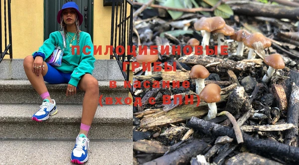 спиды Болохово