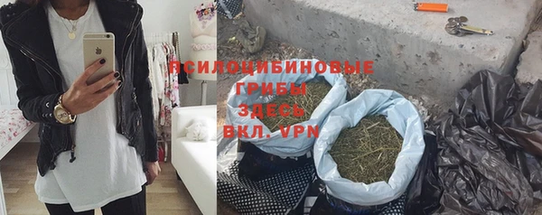 spice Осташков