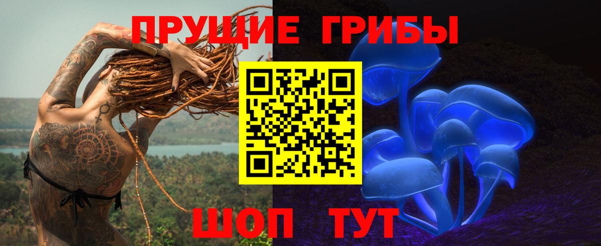 Псилоцибиновые грибы MAGIC MUSHROOMS  Галлюциногенные грибы MAGIC MUSHROOMS  купить  сайты  Вход с VPN  Балабаново 
